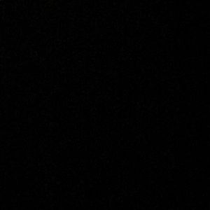 Meet your Posher, Peyton